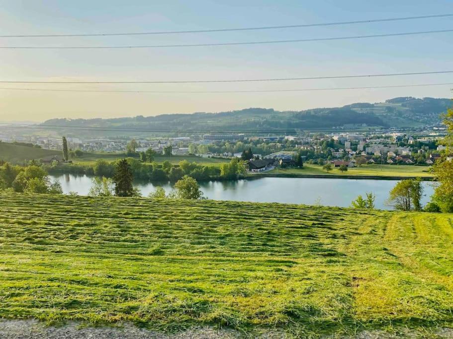 Birkenhof, Haus Schwaenli Villa Herisau Ngoại thất bức ảnh