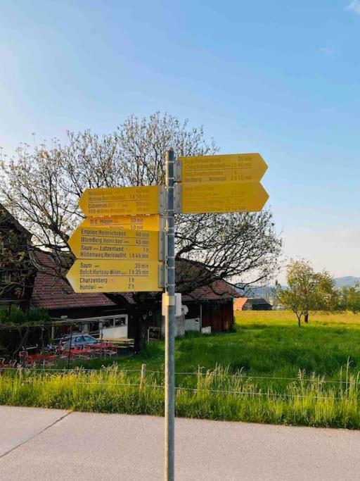 Birkenhof, Haus Schwaenli Villa Herisau Ngoại thất bức ảnh