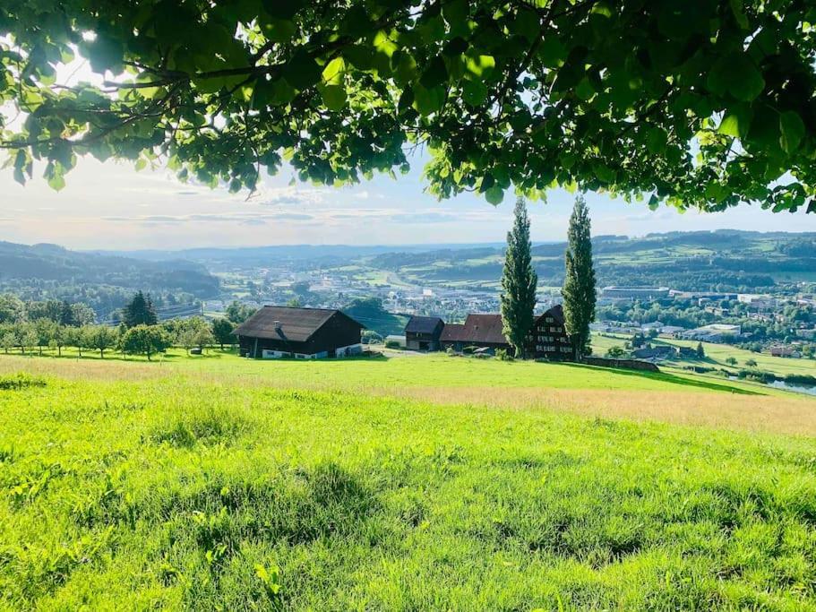 Birkenhof, Haus Schwaenli Villa Herisau Ngoại thất bức ảnh